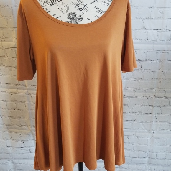 LuLaRoe Tops - LuLaRoe PERFECT TEE RUST COLOR.
